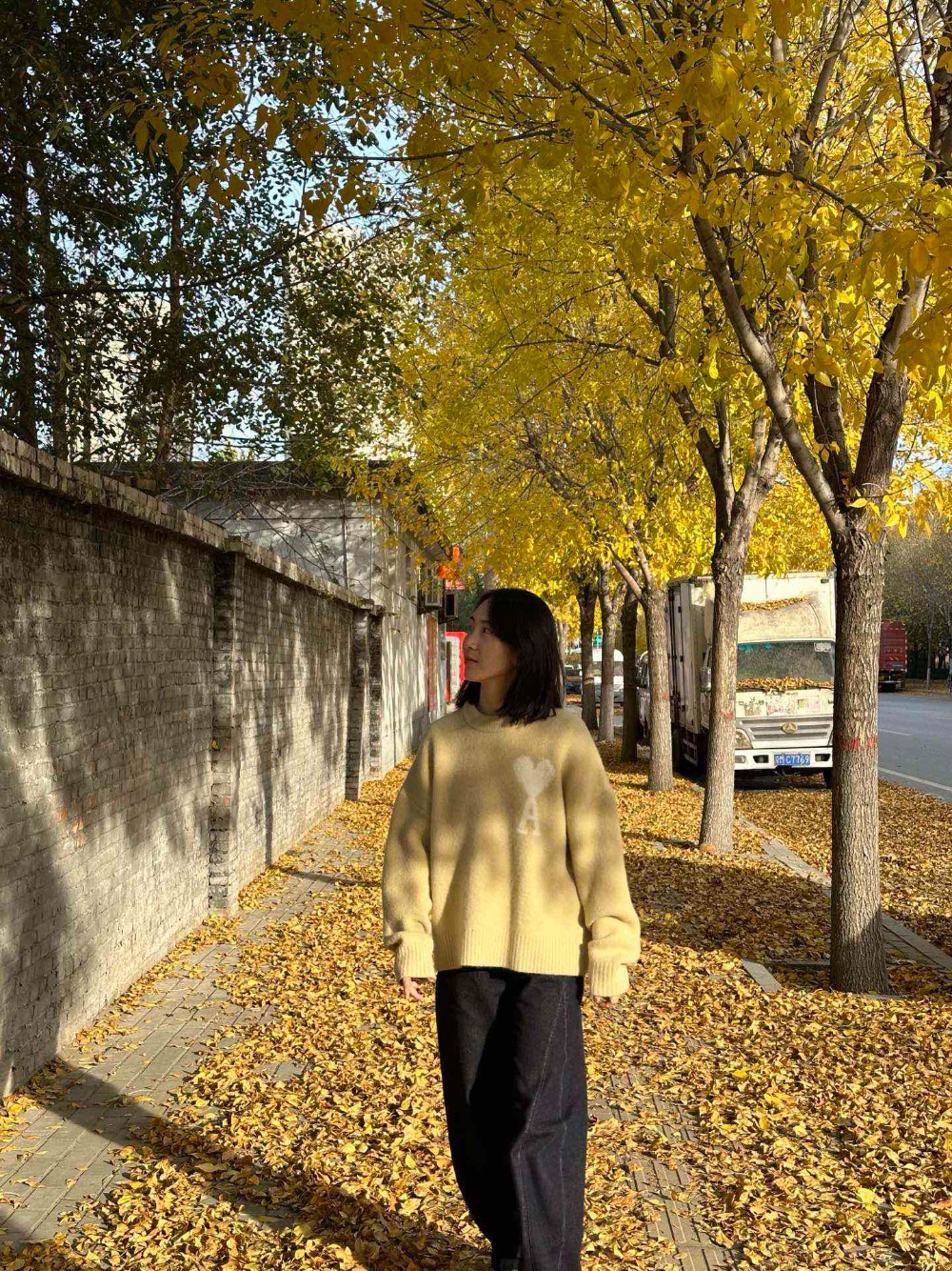 wsxc1762792698182_0 - 副本.jpg