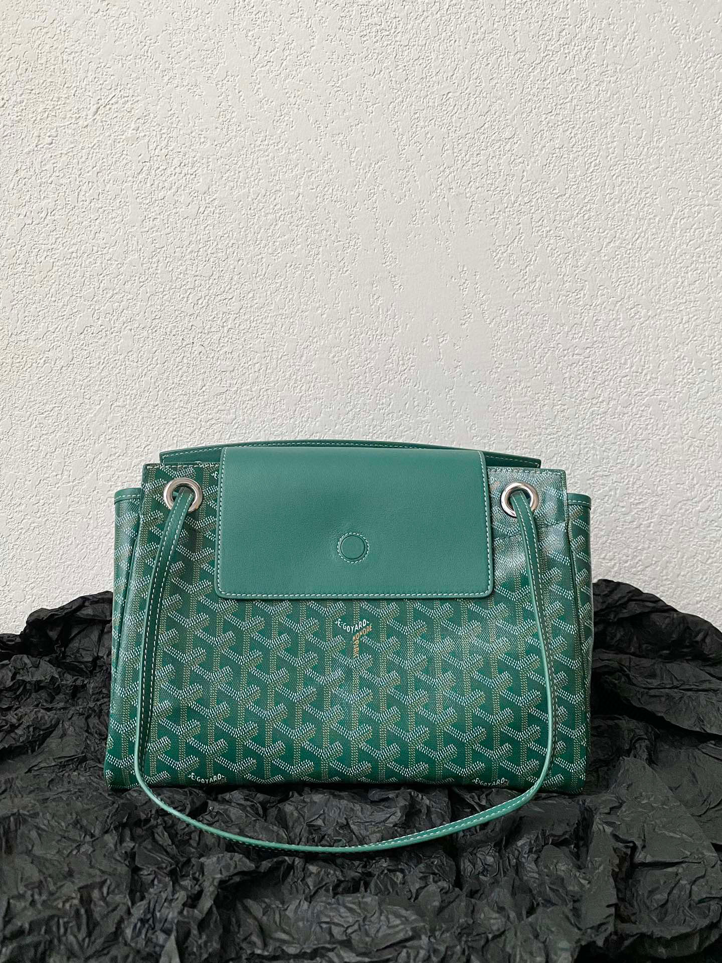 고야드 Goyard 6005 그린