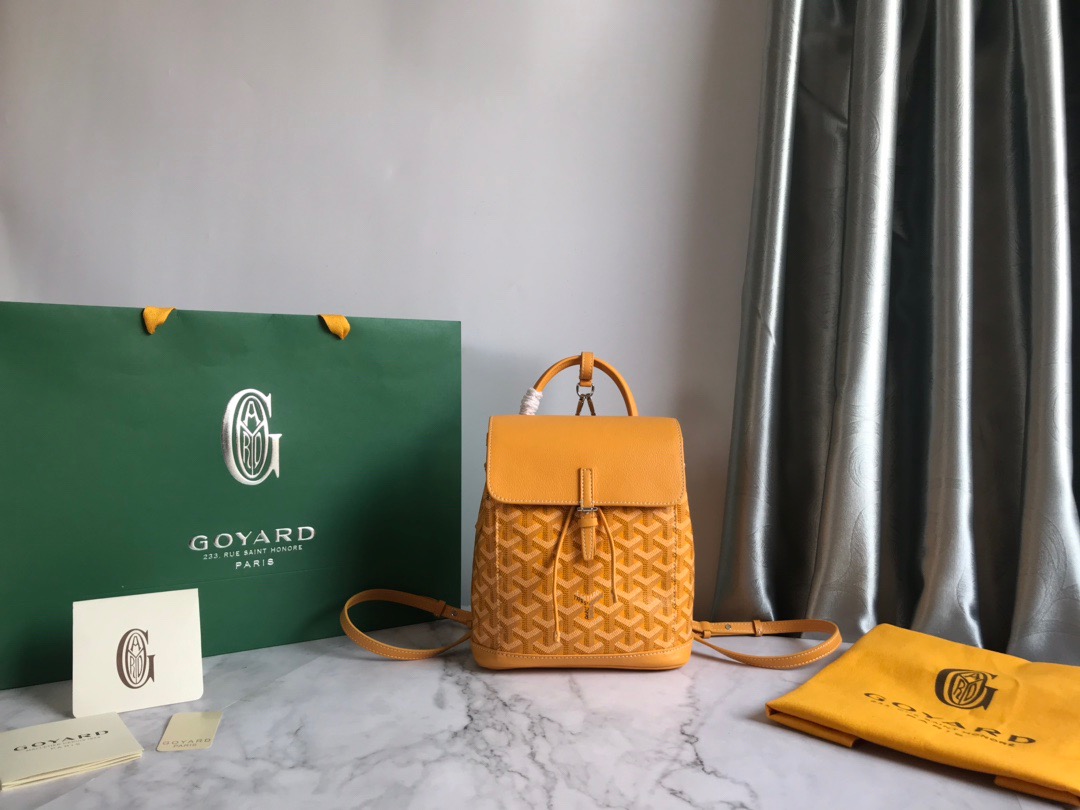 고야드 Goyard 백팩 21.5CM