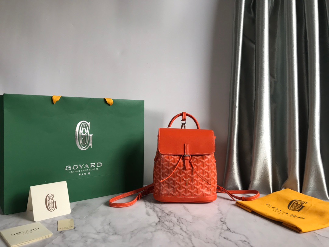 고야드 Goyard 백팩 21.5CM