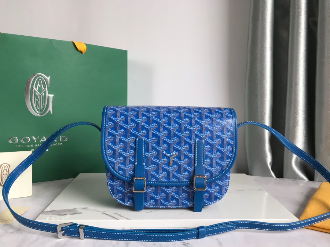 고야드 Goyard 877055 숄더백 22CM