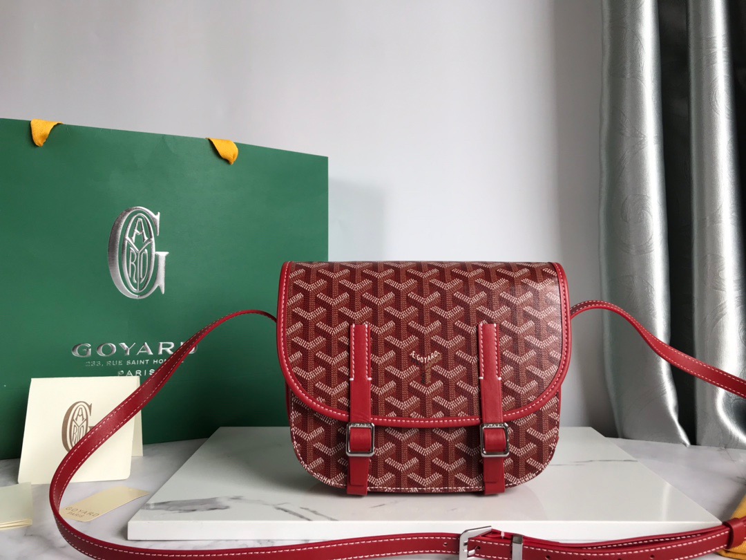 고야드 Goyard 877055 숄더백 22CM