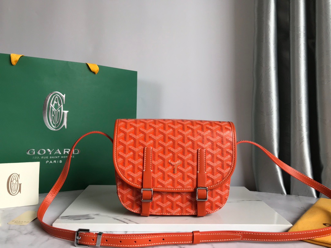 고야드 Goyard 877055 숄더백 22CM