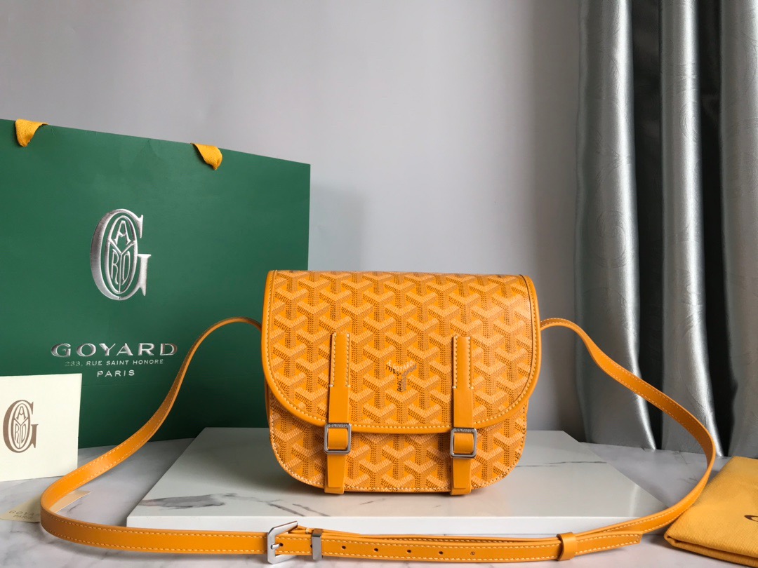 고야드 Goyard 877055 숄더백 22CM