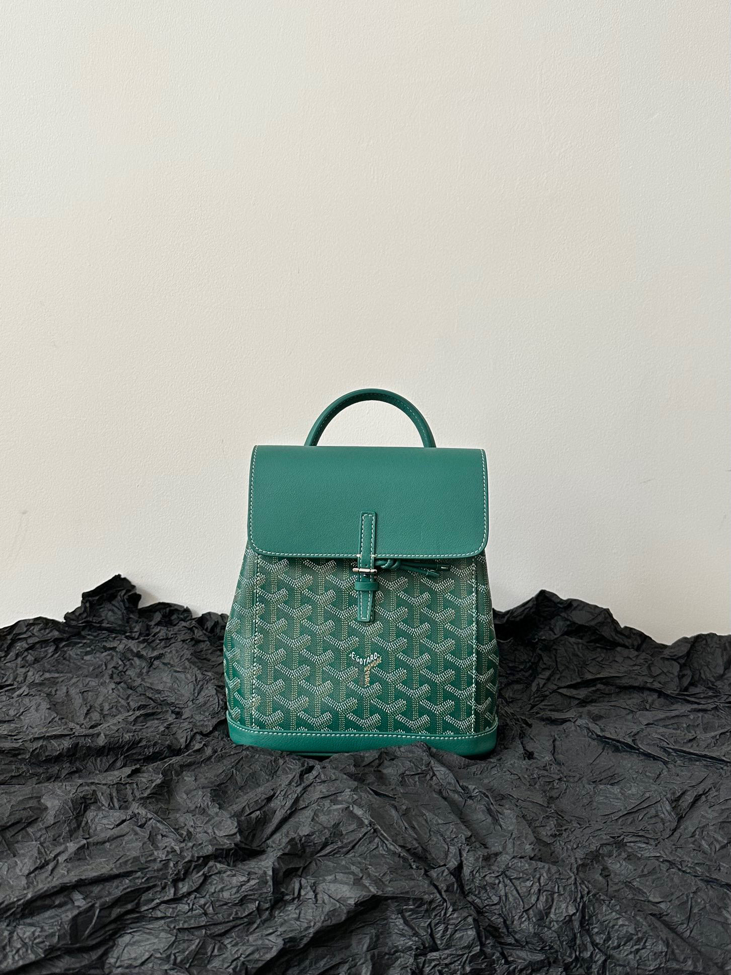 고야드 Goyard 6011 백팩 23cm