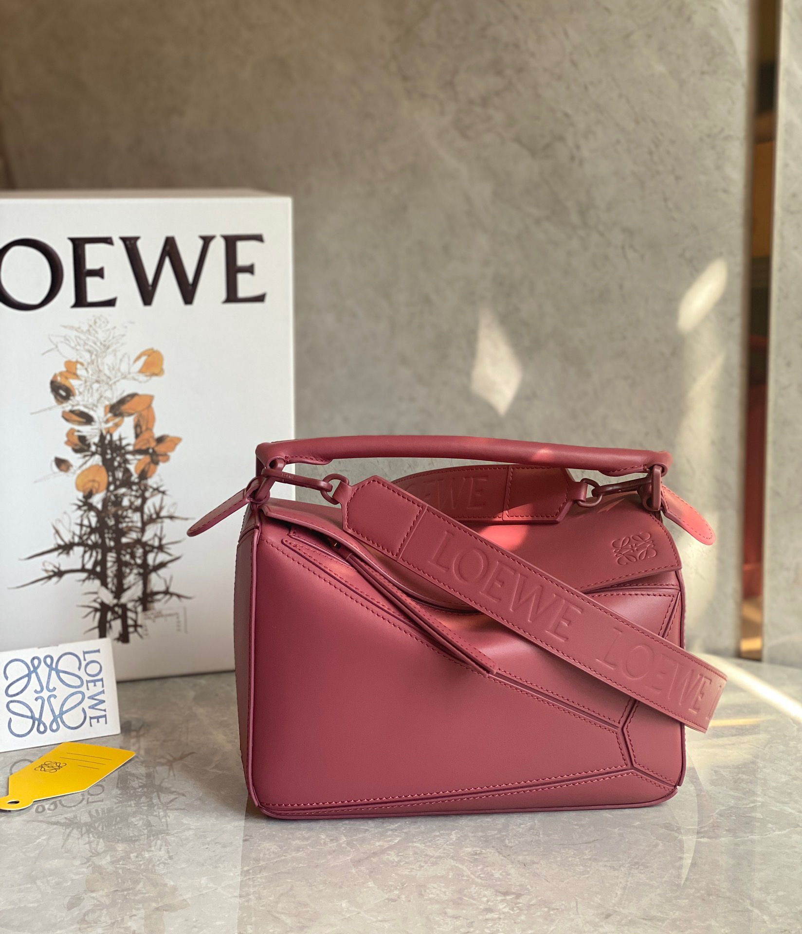 로에베 Loewe 크로스 백  24CM