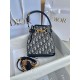 디올 Dior 버킷 백 17CM