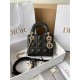 디올 Dior Lady 탑 핸들백 17CM