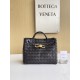 보테가베네타 Bottega Veneta 스몰 안디아모 Andiamo 743568