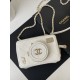 샤넬 CHANEL AS4817 CAMERA BAG 카메라백 램스킨 & 골드 메탈 11.5CM