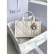 디올 Dior 1291 Book tote24 미니 토트 백 21.5CM