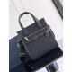 디올 Dior Safari North-South 토트 백 21CM