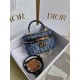 디올 Dior 8201 Caro Vanity 파우치 16.5CM