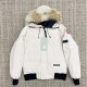 캐나다구스 Canada Goose 패딩