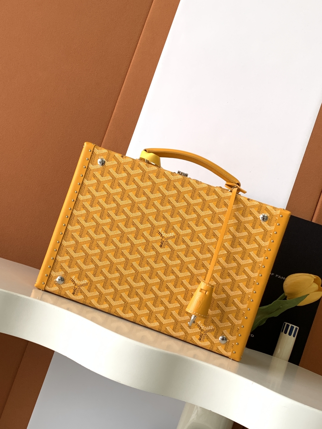 고야드 Goyard JOUX 액세서리 함 28.5cm