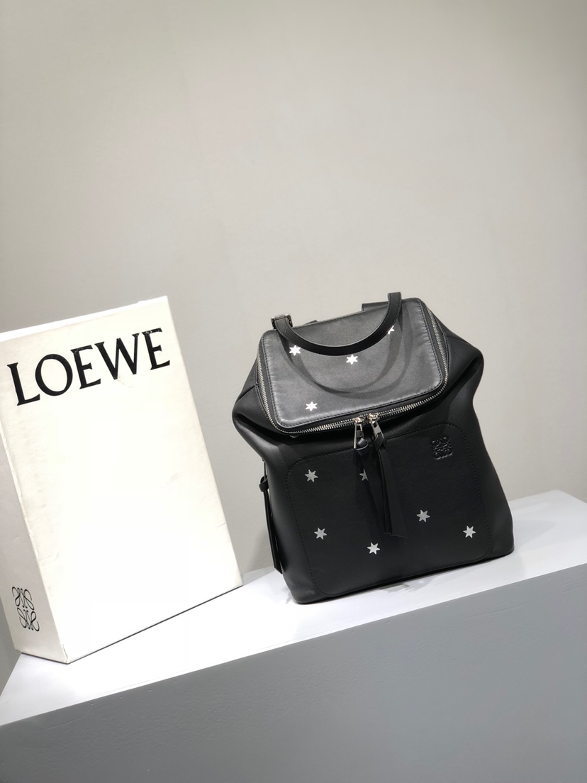 로에베 Loewe 326 Small Goya 백팩
