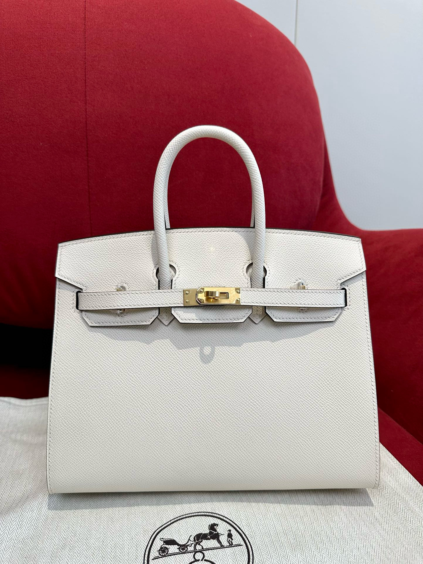 에르메스 Hermes Birkin 25cm Epsom i2 nata/gold