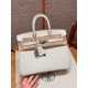 에르메스 Hermes Birkin 25cm Togo 0T Mushroom/silver