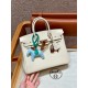 에르메스 Hermes Birkin 25cm Togo i2 Nata/Rose gold