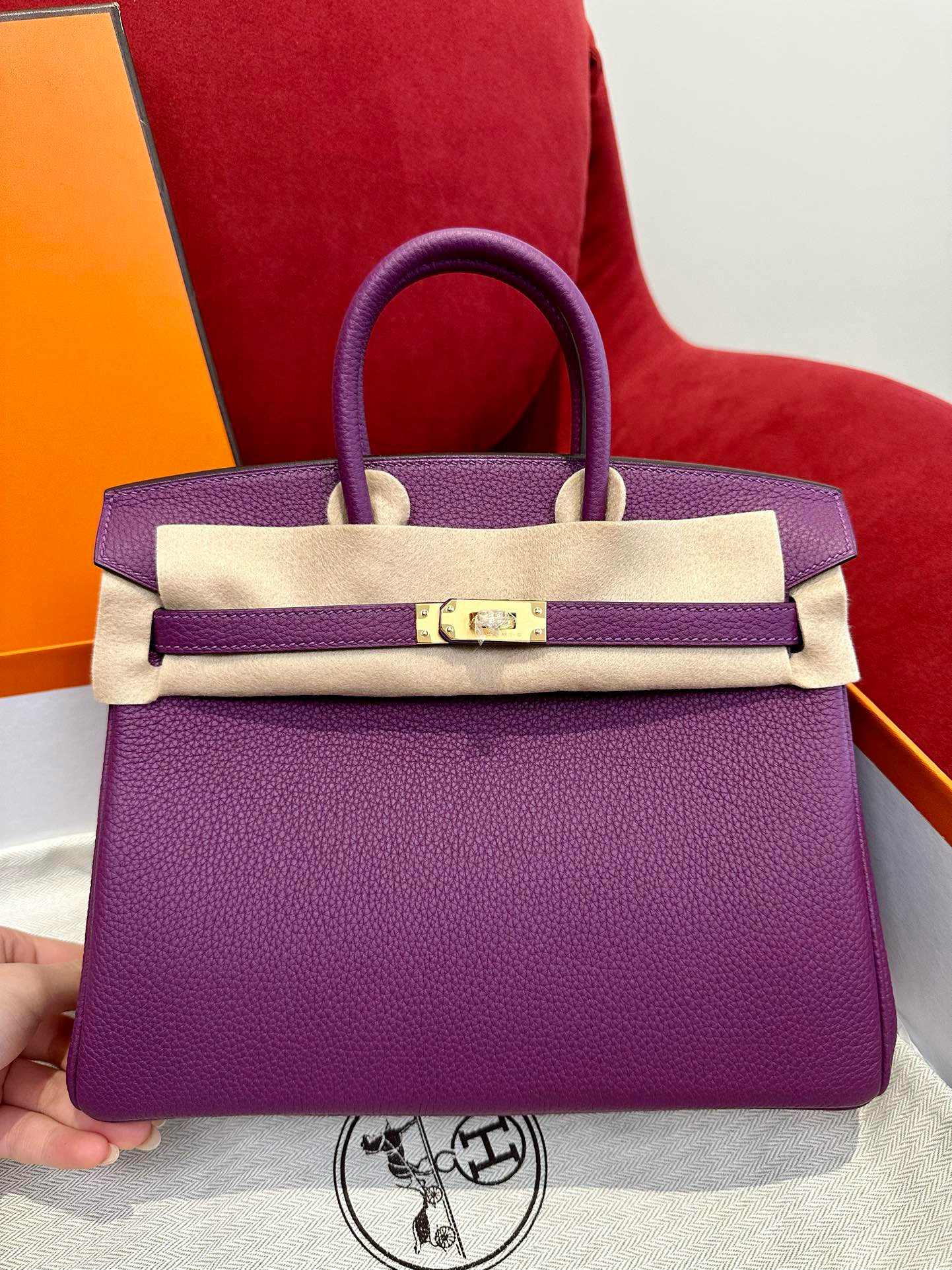 에르메스 Hermes Birkin 25cm Togo P9 Anemone/gold