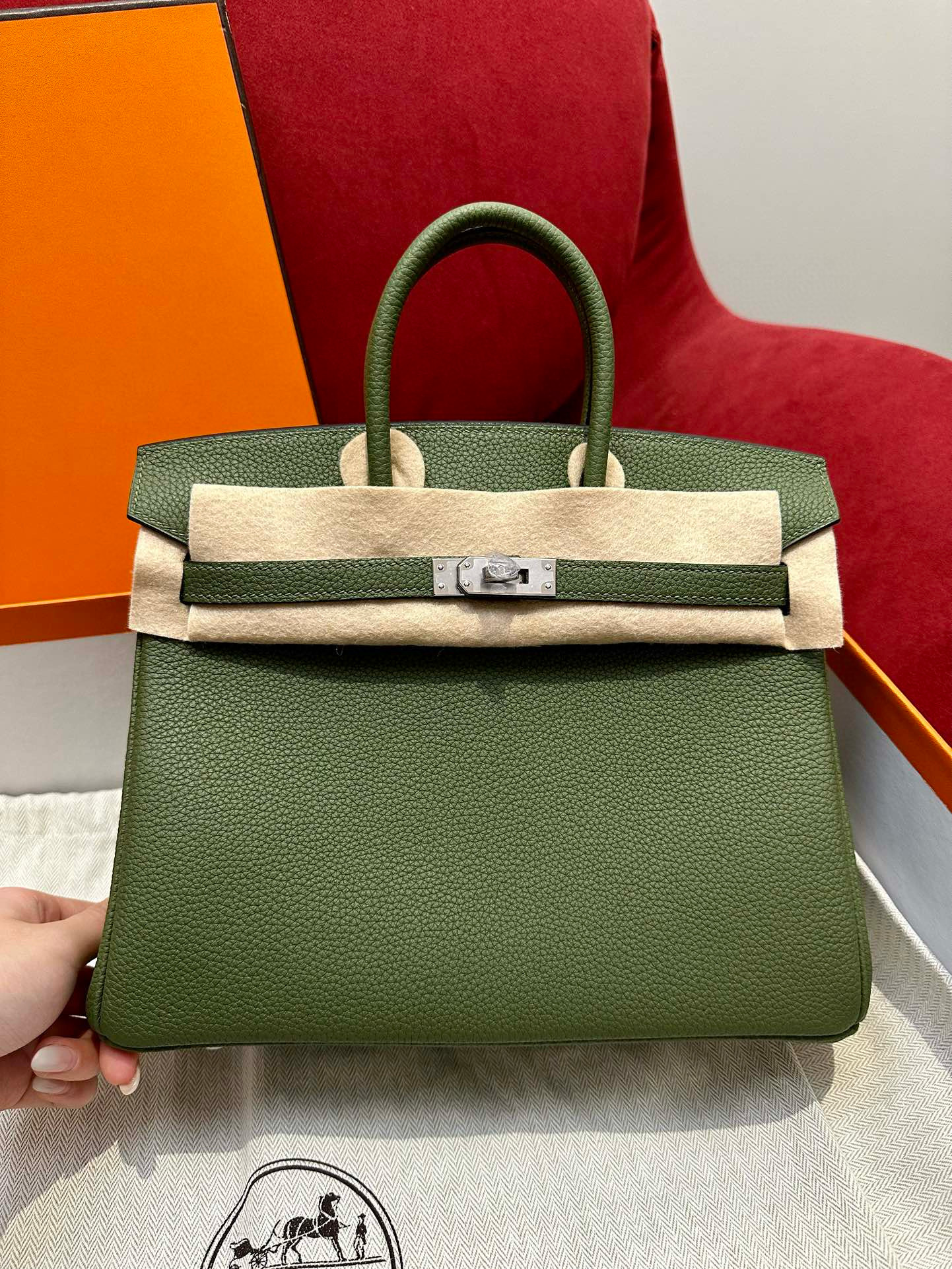 에르메스 Hermes Birkin 25cm Togo V6 Canope/silver