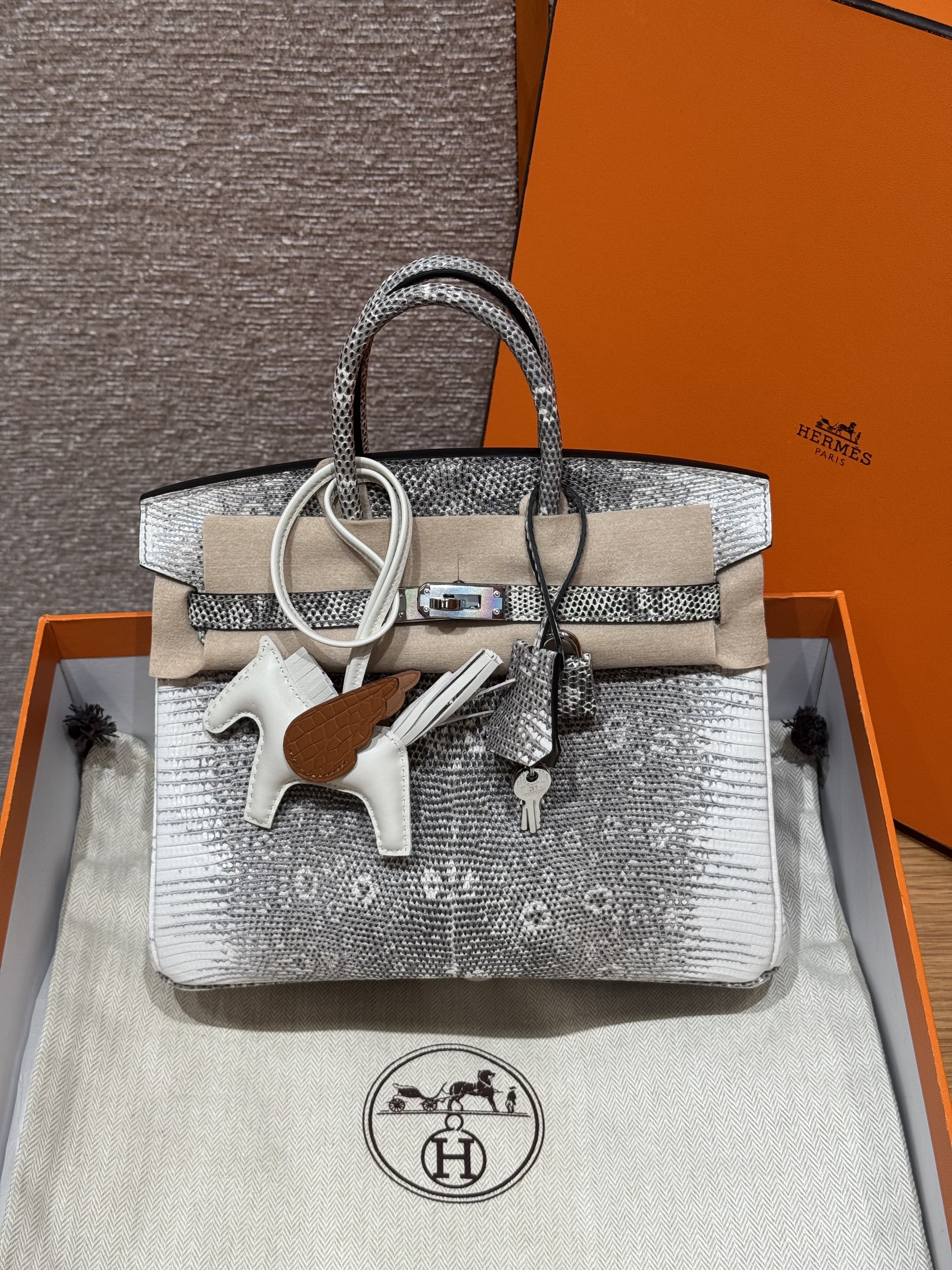 에르메스 Hermes Birkin 25cm Lizard 1B Ombre/silver