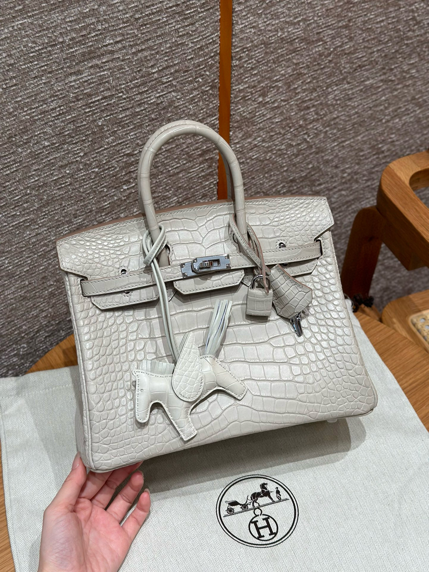 에르메스 Hermes Birkin 25cm Matte Alligator 8L Beton/silver