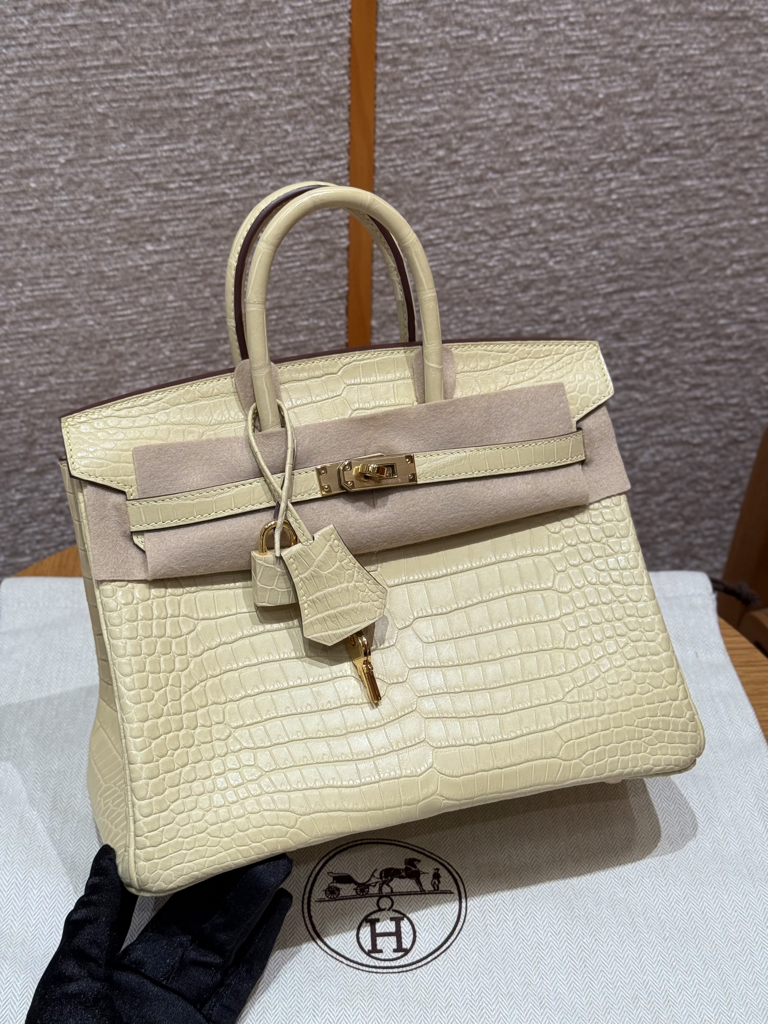 에르메스 Hermes Birkin 25cm Matte Alligator Y1 Vanille/gold