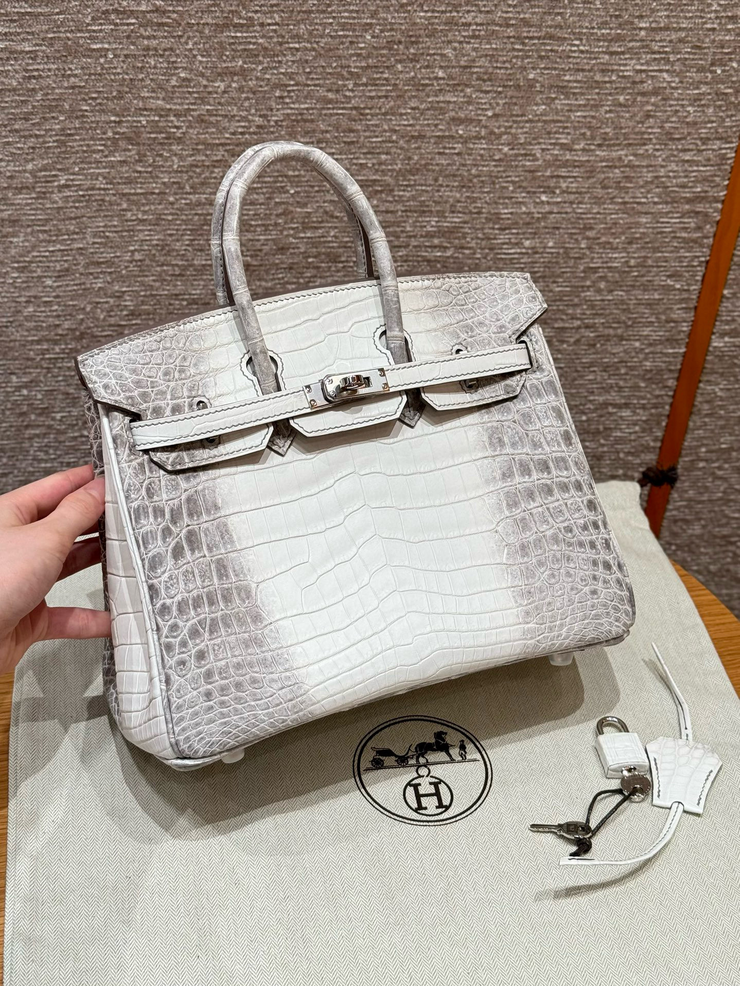 에르메스 Hermes Birkin 25cm Niloticus Himalaya/silver
