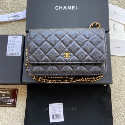 샤넬 Chanel Classic Wallet On Chain WOC 체인 지갑 A33814 20cm