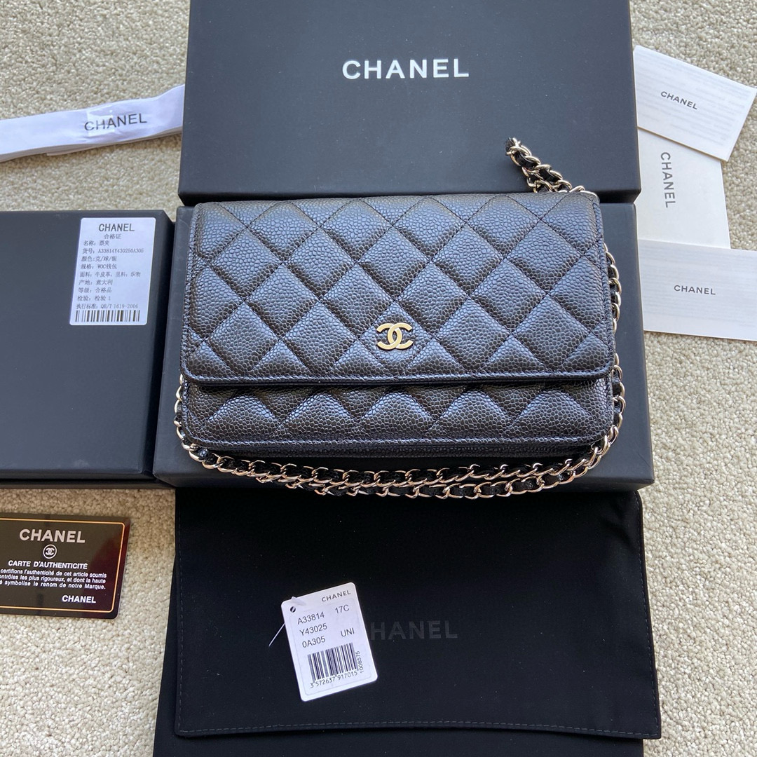 샤넬 Chanel Classic Wallet On Chain WOC 체인 지갑 A33814 20cm
