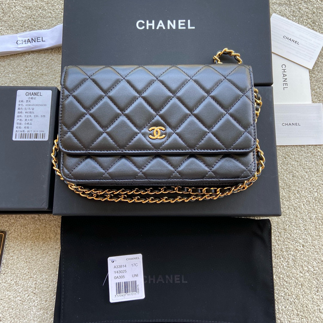 샤넬 Chanel Classic Wallet On Chain WOC 체인 지갑 A33814 20cm