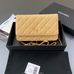 샤넬 Chanel Classic Wallet On Chain WOC 체인 지갑 A33814 20cm