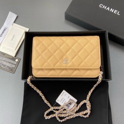 샤넬 Chanel Classic Wallet On Chain WOC 체인 지갑 A33814 20cm