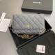 샤넬 Chanel Classic Wallet On Chain WOC 체인 지갑 AP0250 20cm