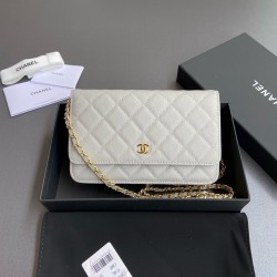 샤넬 Chanel Classic Wallet On Chain WOC 체인 지갑 AP0250 20cm