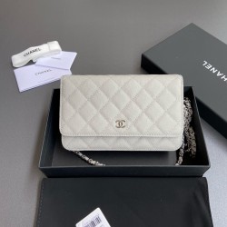 샤넬 Chanel Classic Wallet On Chain WOC 체인 지갑 AP0250 20cm