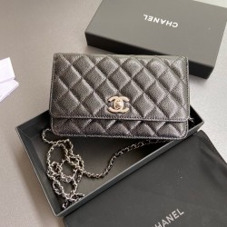 샤넬 Chanel Classic Wallet On Chain WOC 체인 지갑 AP2053 20cm