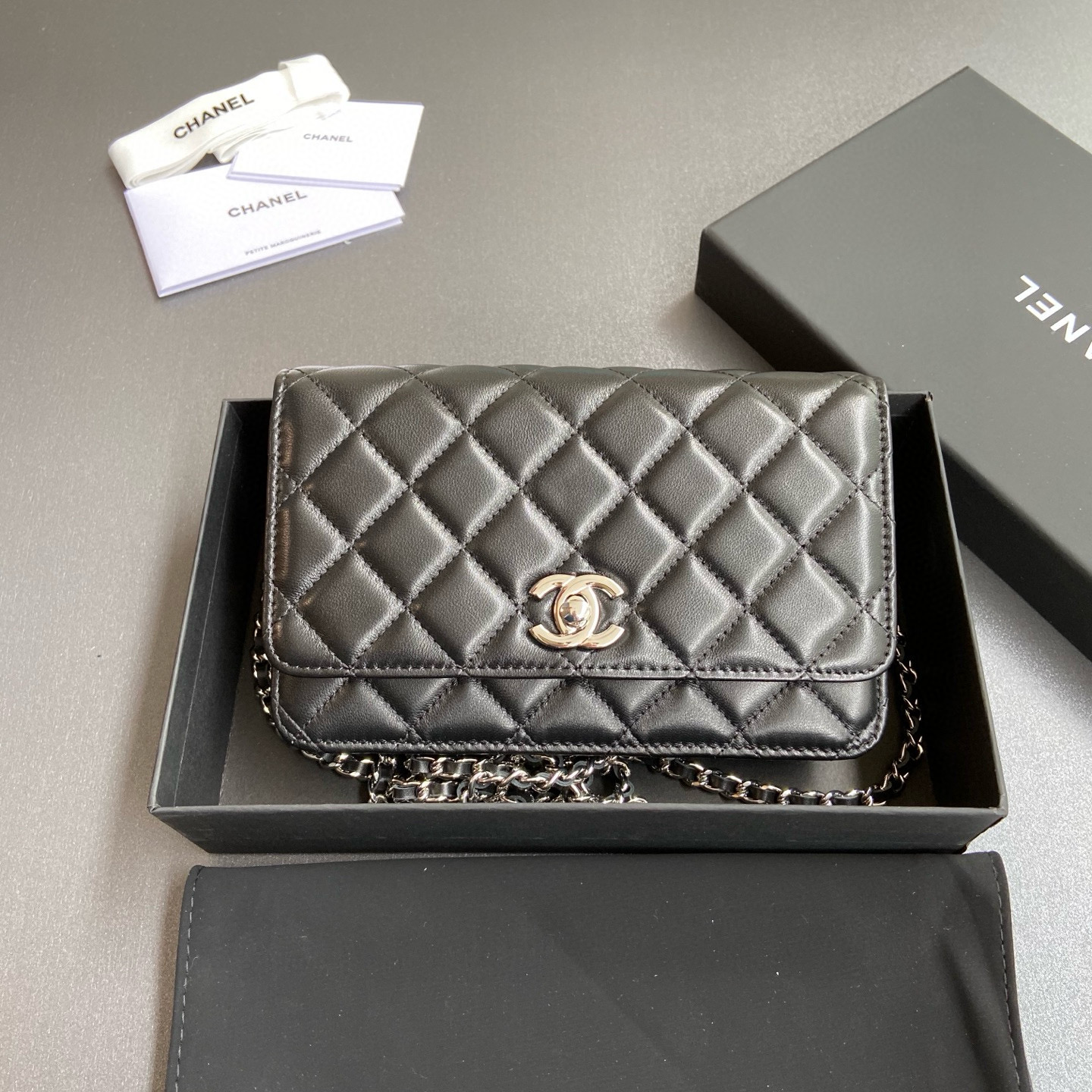 샤넬 Chanel Classic Wallet On Chain WOC 체인 지갑 AP2053 20cm