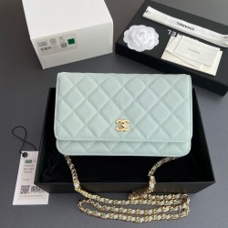샤넬 Chanel Classic Wallet On Chain WOC 체인 지갑 AP4241 20cm
