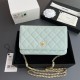 샤넬 Chanel Classic Wallet On Chain WOC 체인 지갑 AP4241 20cm