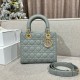 디올 Dior Lady 24cm 탑 핸들백 grey