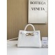 보테가 베네타 Bottega Veneta 773733 Andiamo 22cm