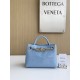 보테가 베네타 Bottega Veneta 773733 Andiamo 22cm