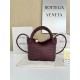 보테가 베네타 Bottega Veneta 776755 MINI Tosca 20CM