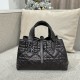 디올 Dior Small Dior Toujours Bag Black 23cm