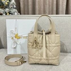 디올 Dior Small Dior Toujours Vertical Tote Bag Apricot 18.5cm