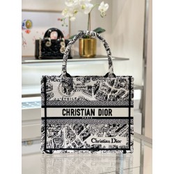 디올 Dior Small Dior Book Tote White Plan de Paris Embroidery 26.5cm