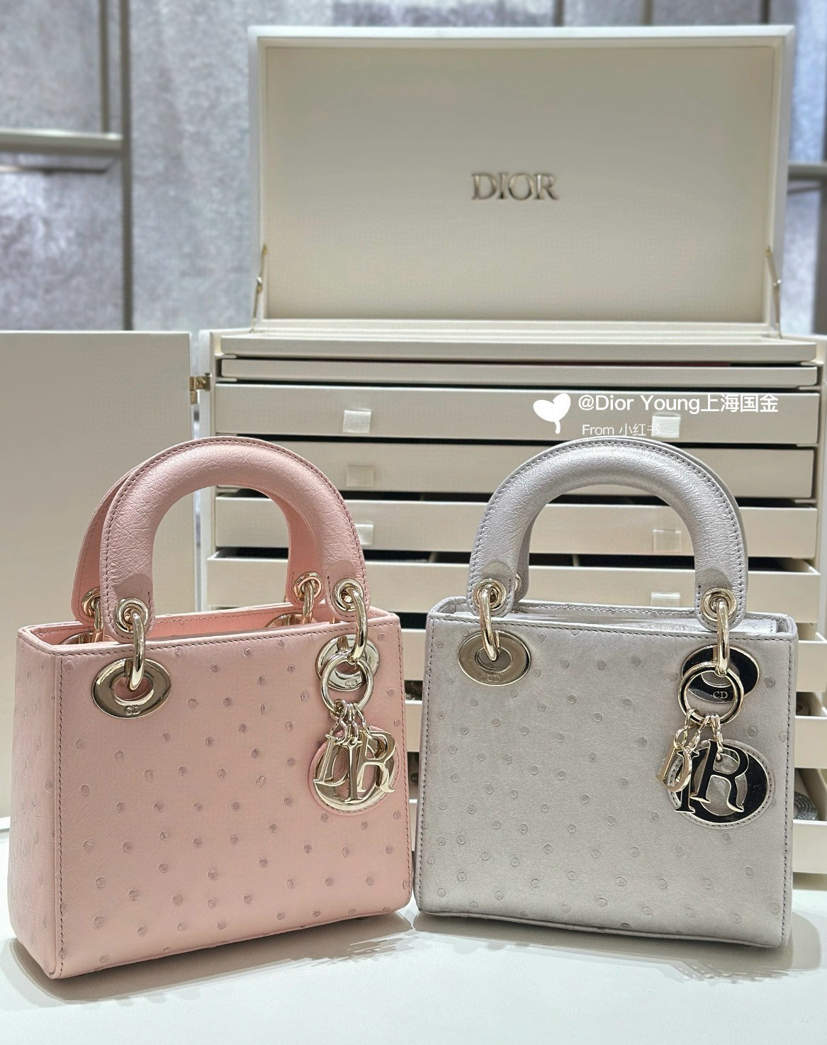 디올 Dior Lady ostrich