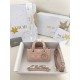 디올 Dior Lady D-Joy Micro Bag Pink 16cm